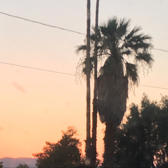 Meet your Posher, Tiffany - Picture 1 of 1